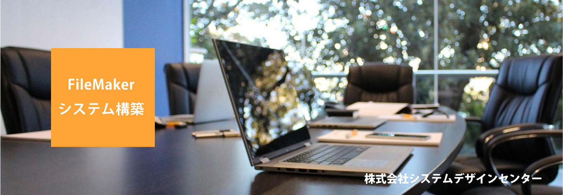 FileMakerシステム構築　(株)システムデザインセンター