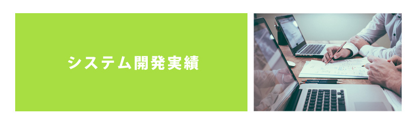 システム開発実績